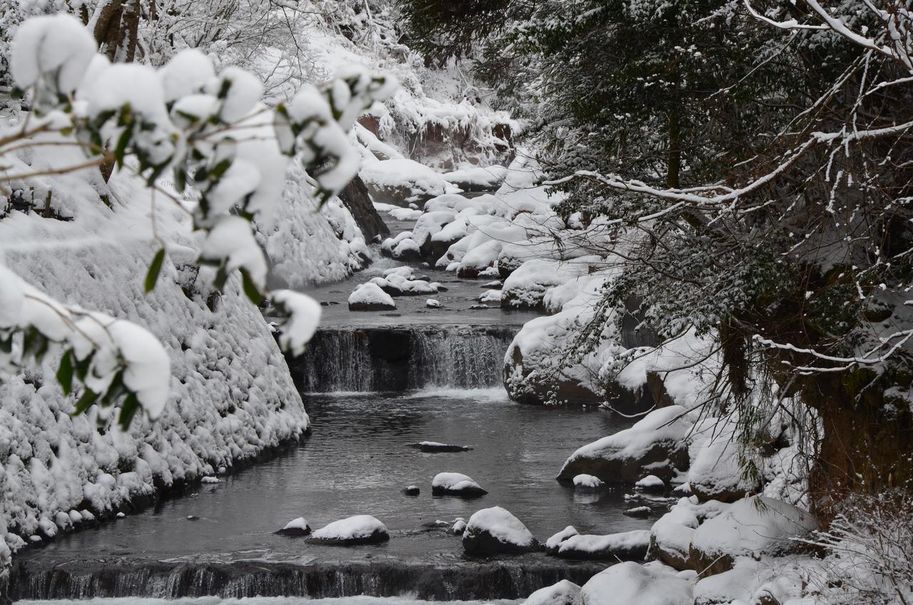 Kurokawa Onsen Oku no Yu Hotel Minamioguni Bagian luar foto